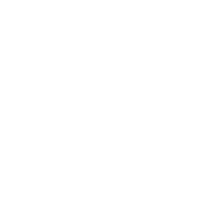 Aliice_full_logo